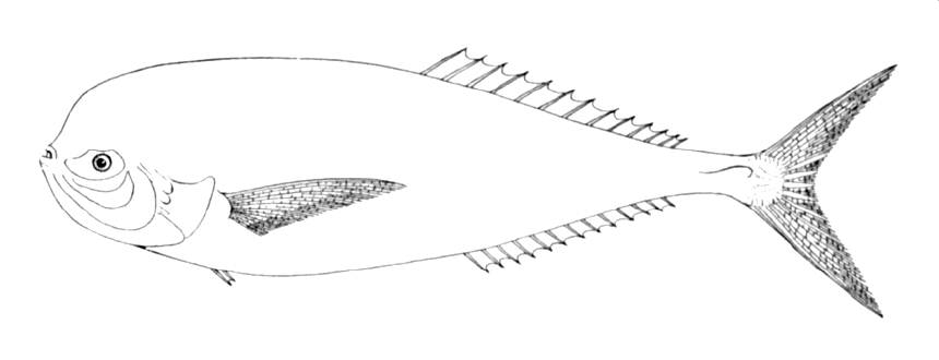 Diánahal