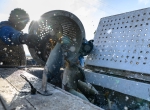 Fonyód, 2025. október 1. Teherautókon elhelyezett kádakba öntik a halakat a fonyódi halastavak lehalászása során 2025. október 1-jén. Elkezdődött az őszi lehalászás a Balatoni Halgazdálkodási Nonprofit Zrt. halastavaiban, a kifogott háromnyaras pontyokat több helyszínen engedik a Balatonba. MTI/Vasvári Tamás
